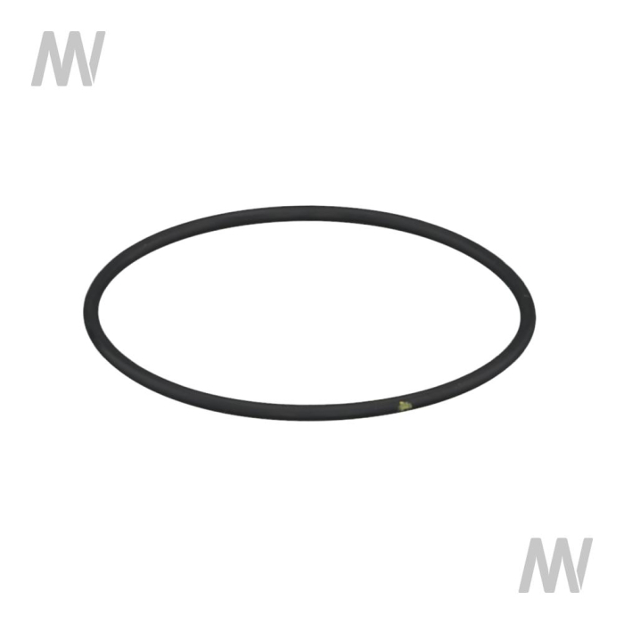 O-Ring - Detail 1