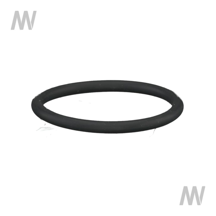 O-Ring - Detail 1