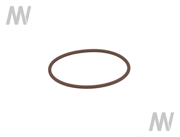 O-Ring - Detail 1