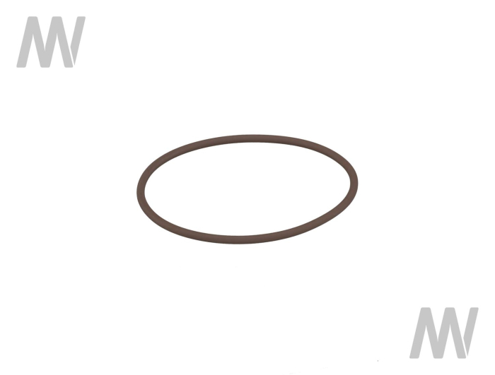 O-Ring - Detail 1