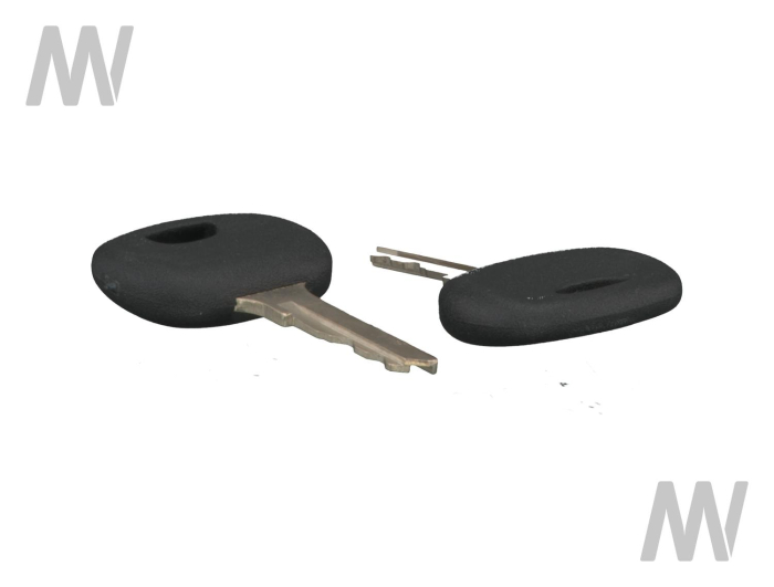 Ignition key - Detail 1