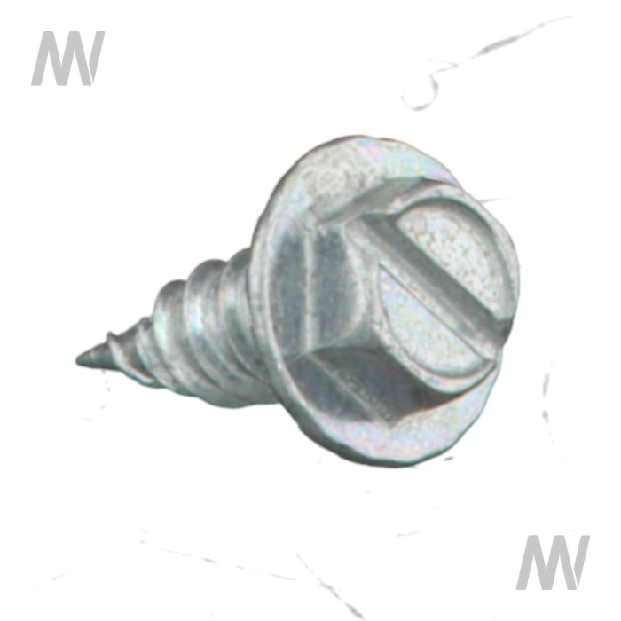 Blechschraube kurz - Detail 1