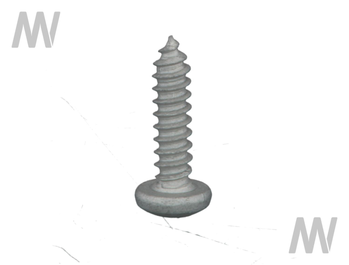 Schraube - Detail 1