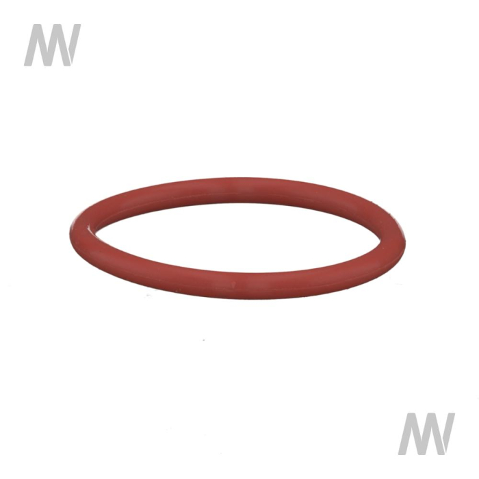 O-Ring Rot - Detail 1