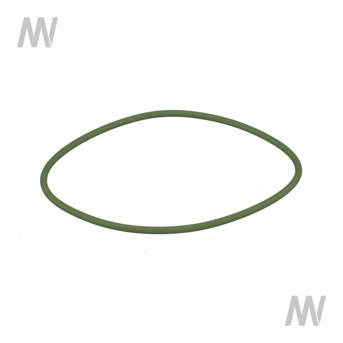 O-Ring f. Laufbuchse Grün 113x3,5 - Detail 1