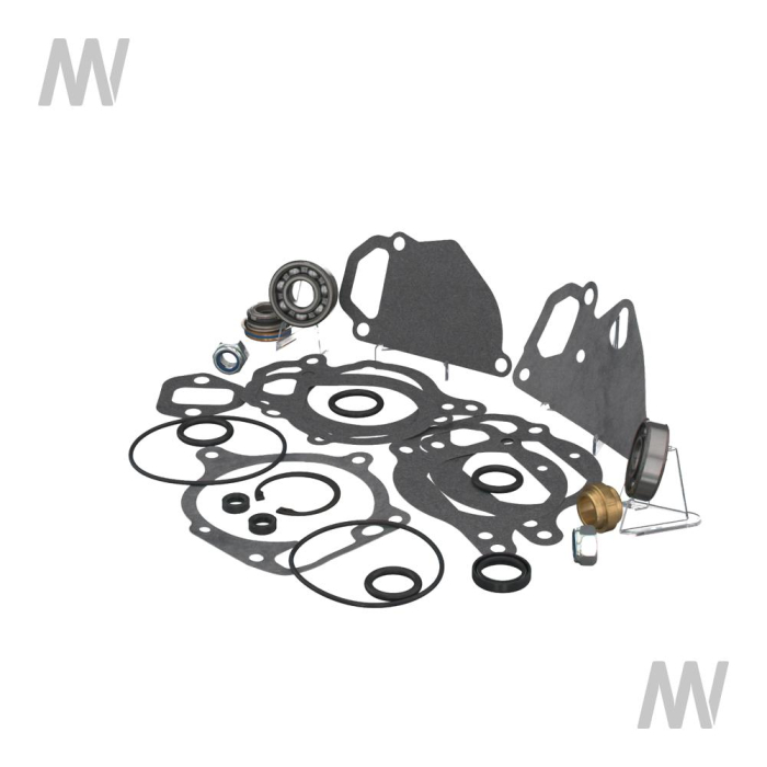 Dichtsatz f. Wasserpumpe - Detail 1