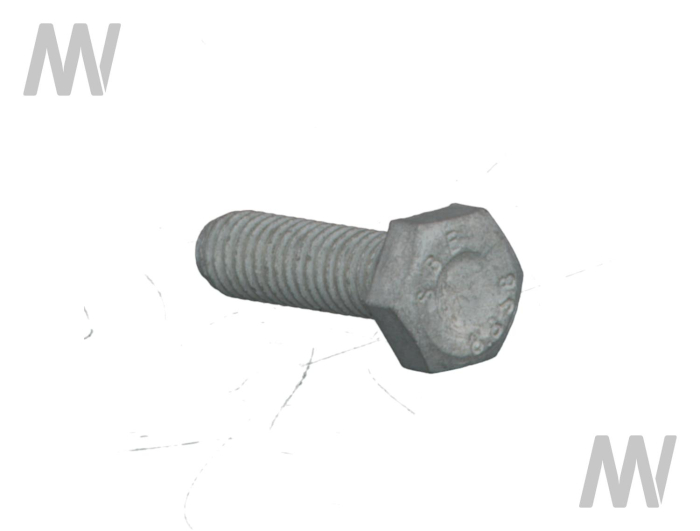 Schraube - Detail 1