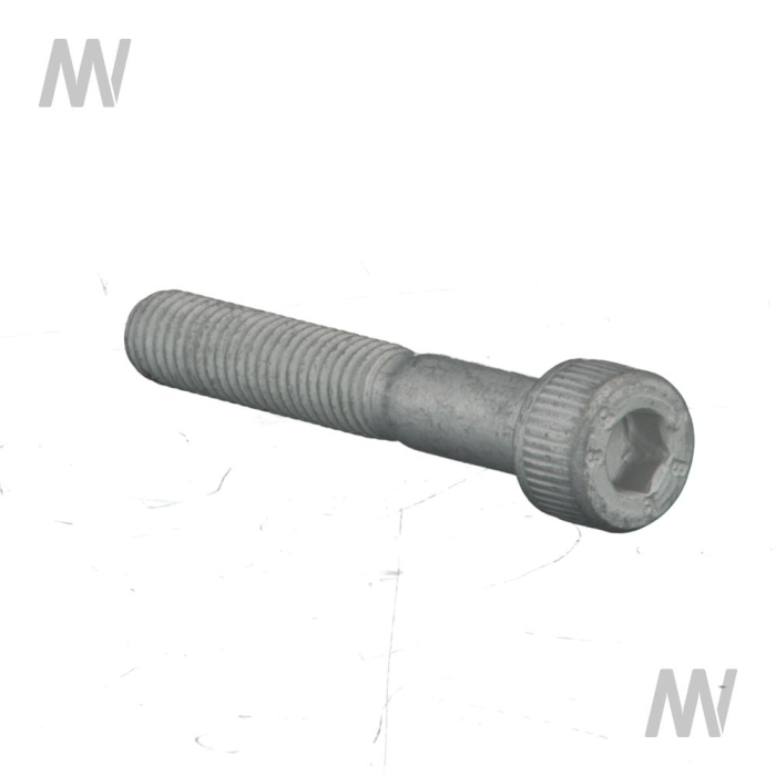 Allen screw M8 x 1.25 x 50 8.8 - Detail 1