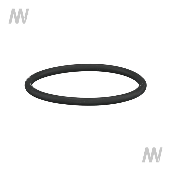 O-Ring - Detail 1