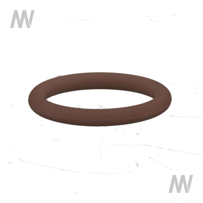 O-Ring - Detail 1