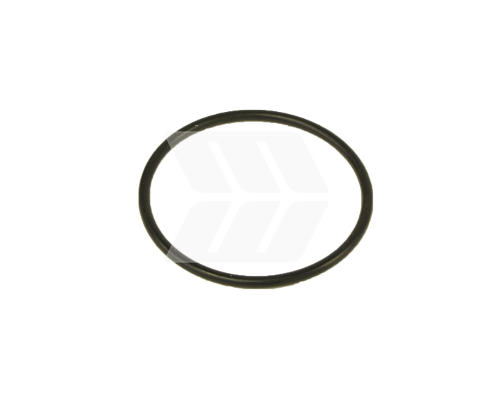 O-ring - Detail 1