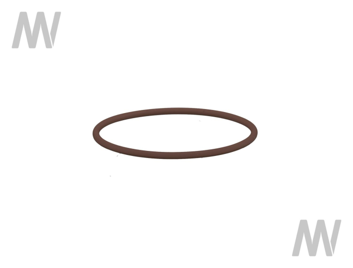 O-ring - Detail 1