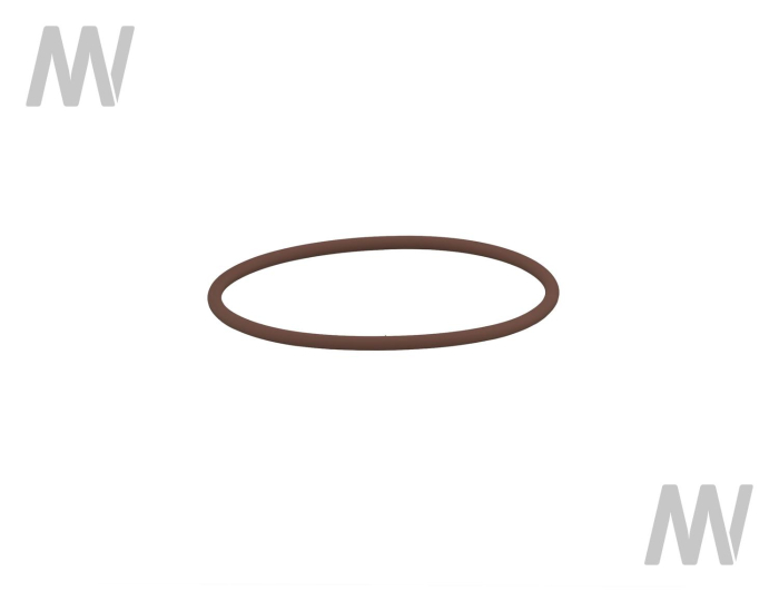 O-ring - Detail 1