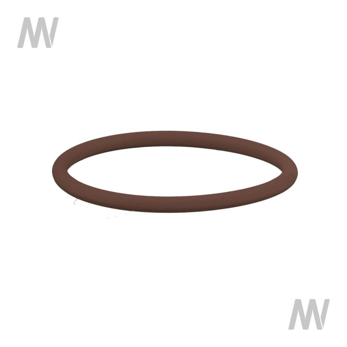 O-Ring - Detail 1