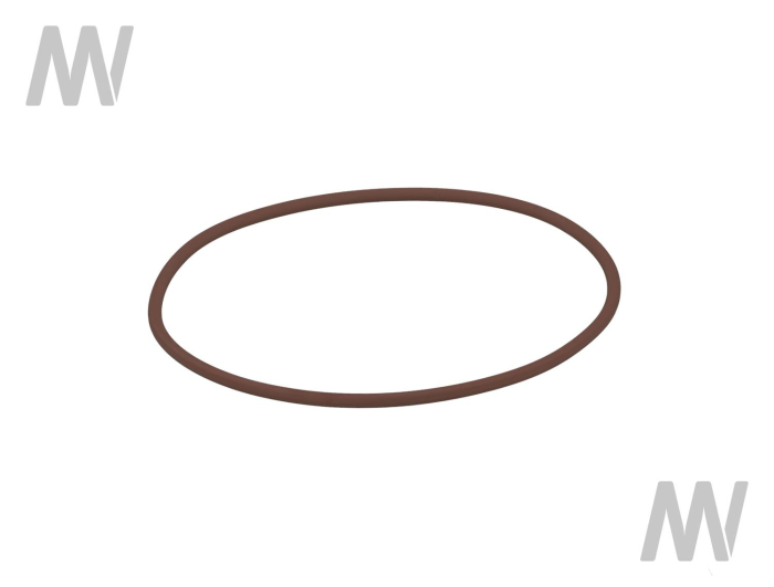 O-ring - Detail 1