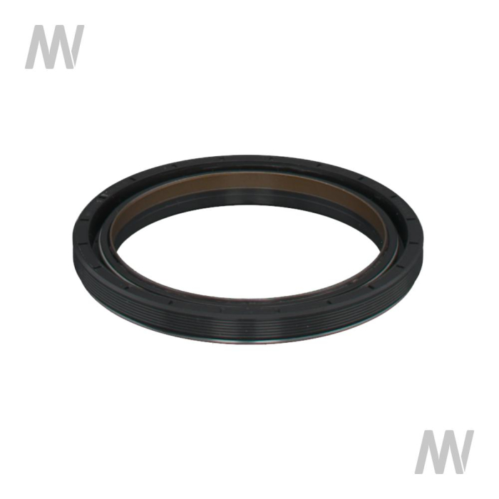 Shaft seal ring - Detail 1