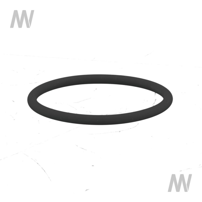 O-ring - Detail 1