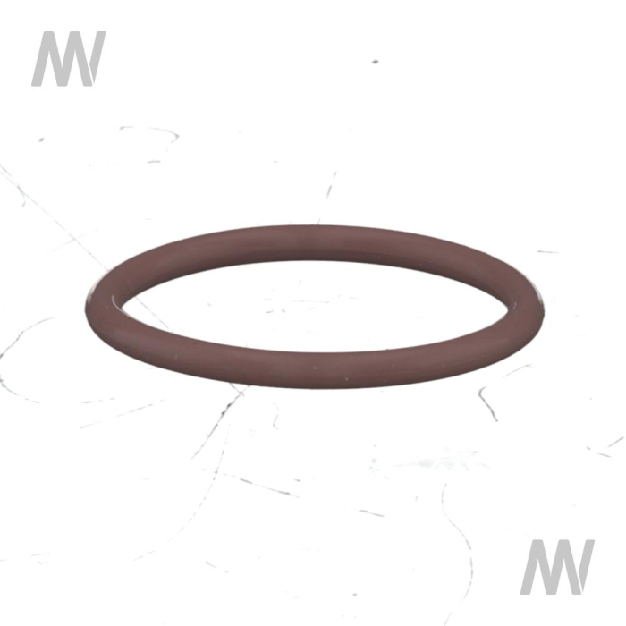 O-ring - Detail 1
