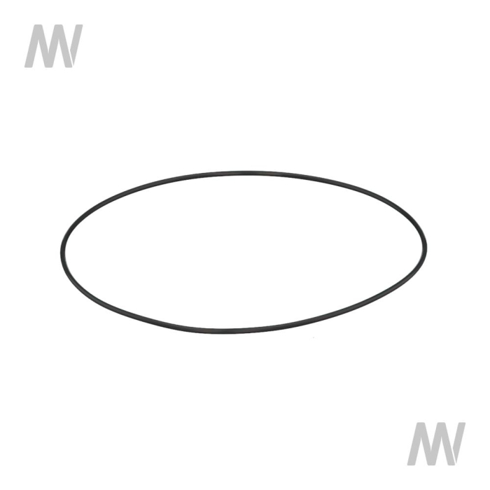 O-Ring f. Saugfilter - Detail 1