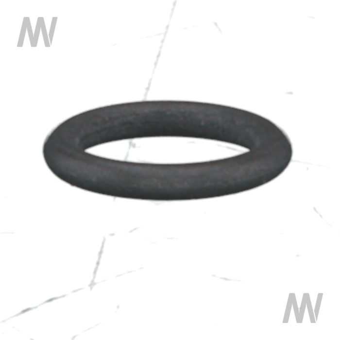 O-ring - Detail 1