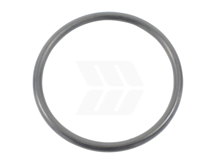 O-ring - Detail 1