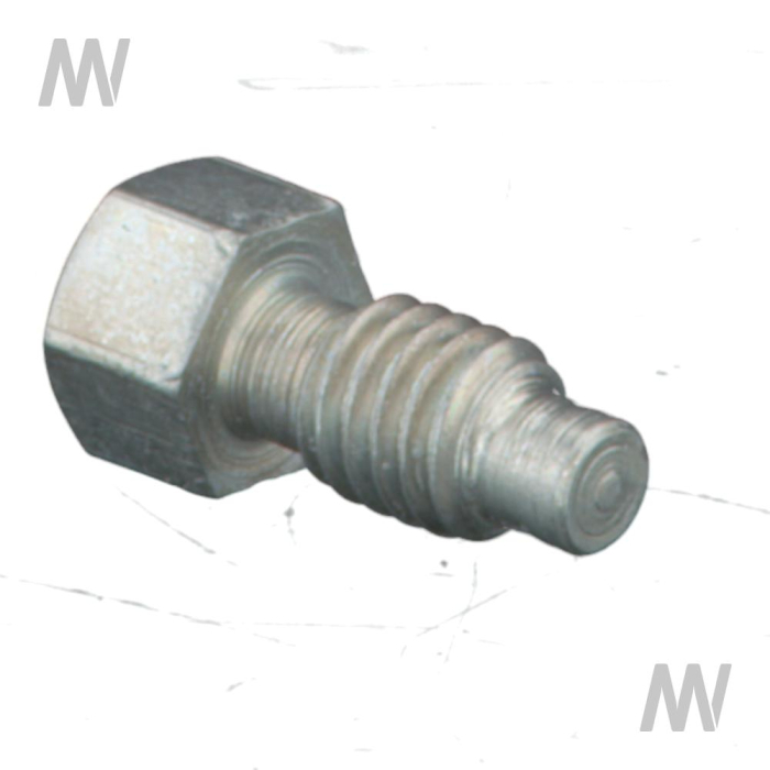 Spezialschraube - Detail 1