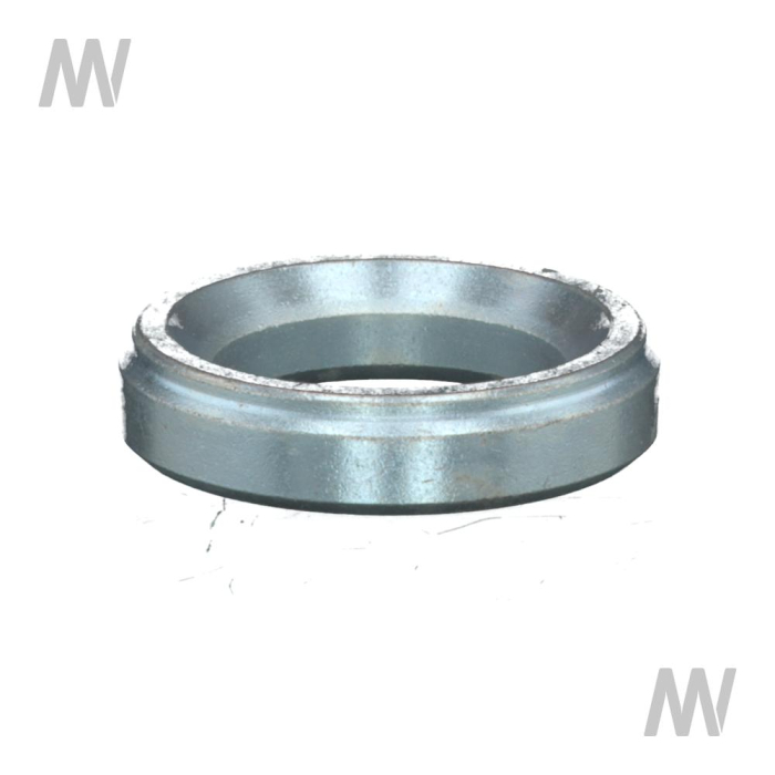 Führungsring - Detail 1