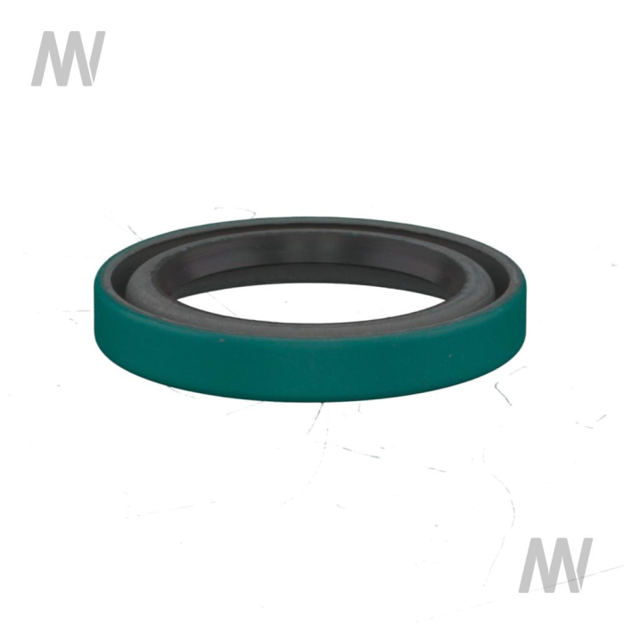 Dichtring - Detail 1