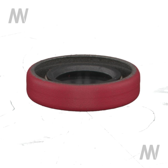 Dichtring - Detail 1