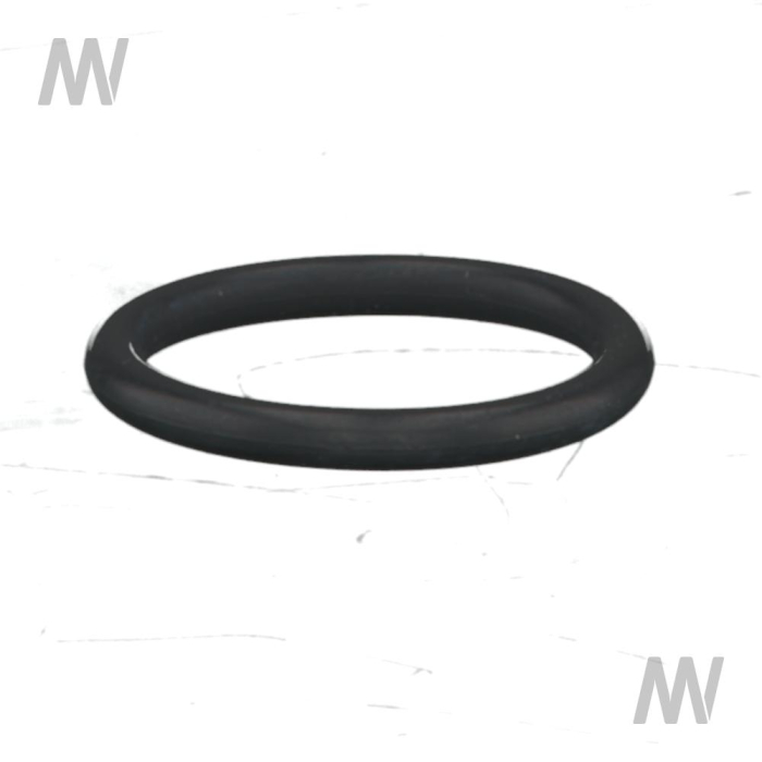 O-Ring   < 3135107R3 - Detail 1