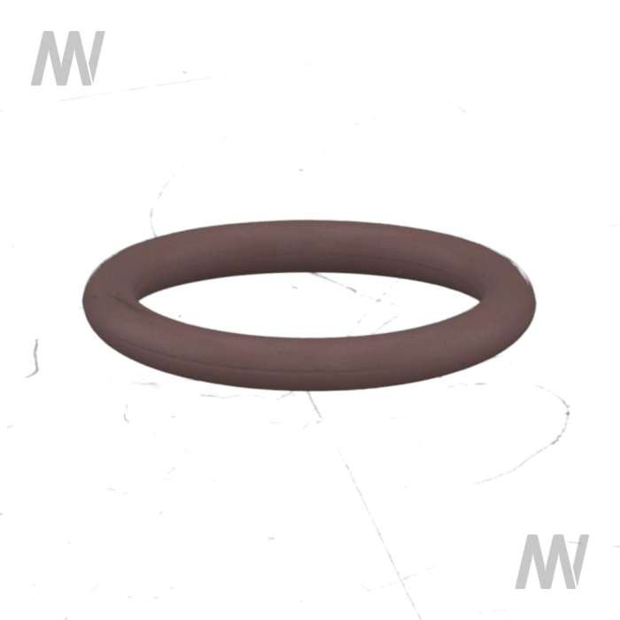 O-Ring unter Filtergehäuse/Schrau - Detail 1