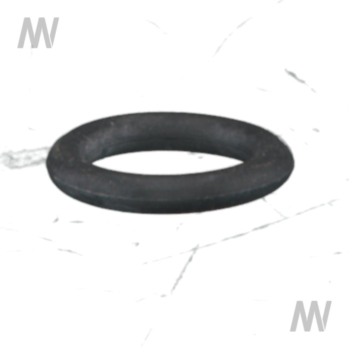 O-ring - Detail 1