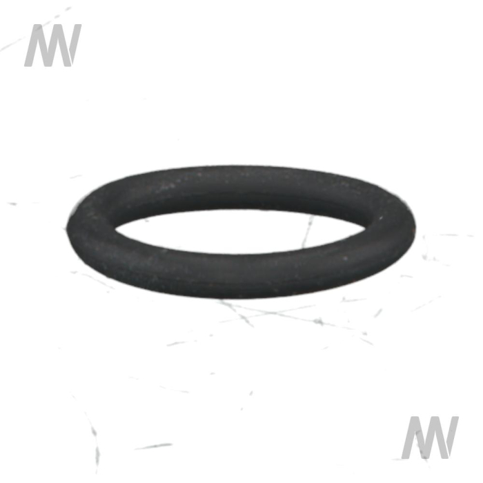 O-ring - Detail 1