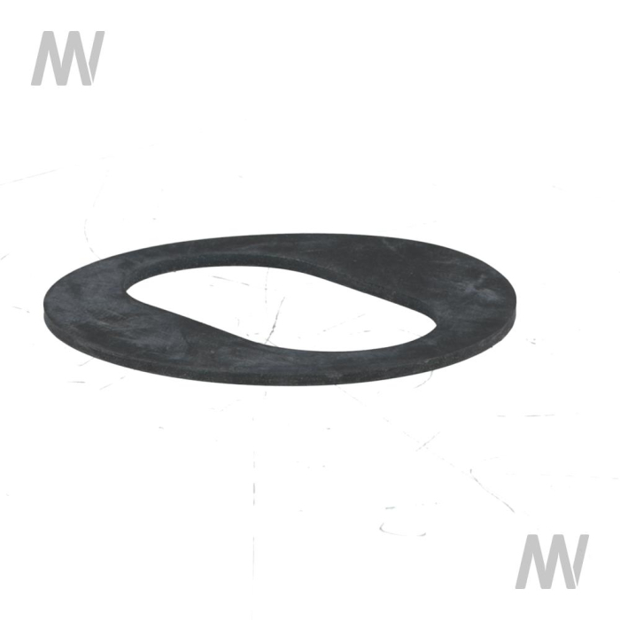 Dichtscheibe - Detail 1