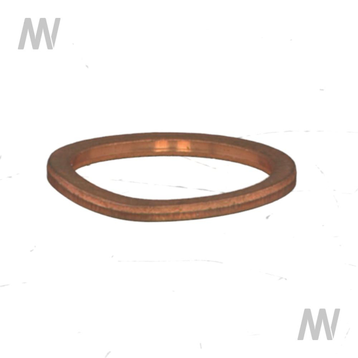 Dichtscheibe - Detail 1