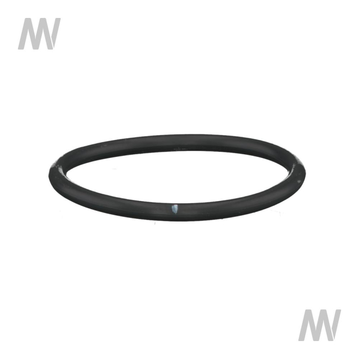 O-Ring - Detail 1