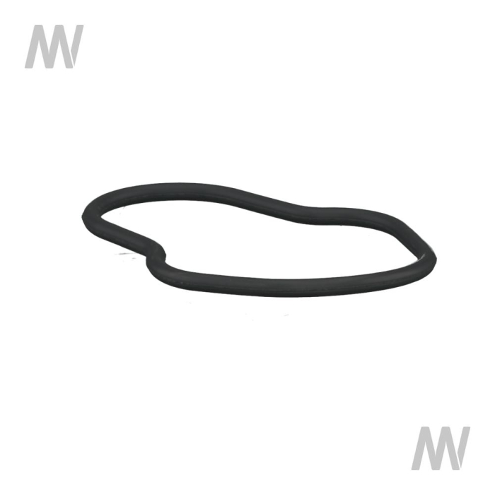 Dichtring Kraftstofffoerderpumpe - Detail 1