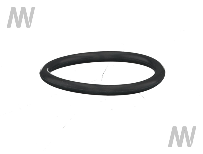 O-ring f. adjusting shaft bearing - Detail 1