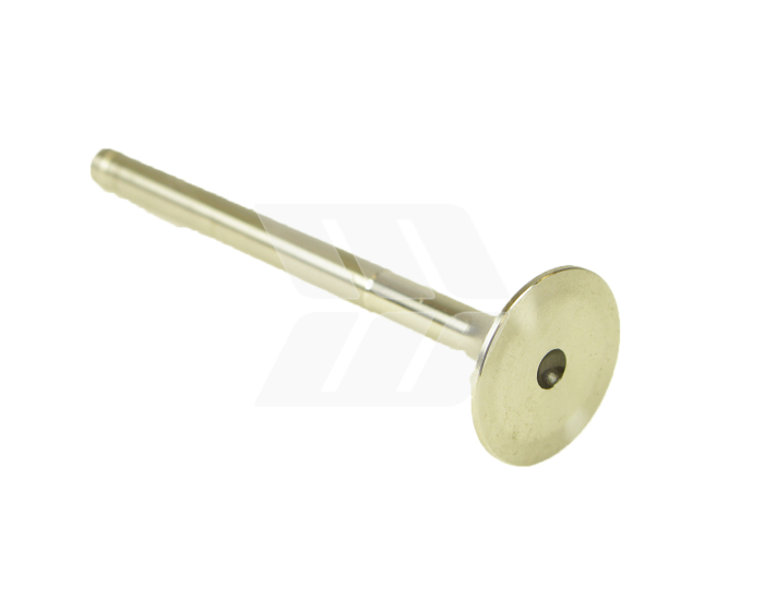 Auslassventil - Detail 1