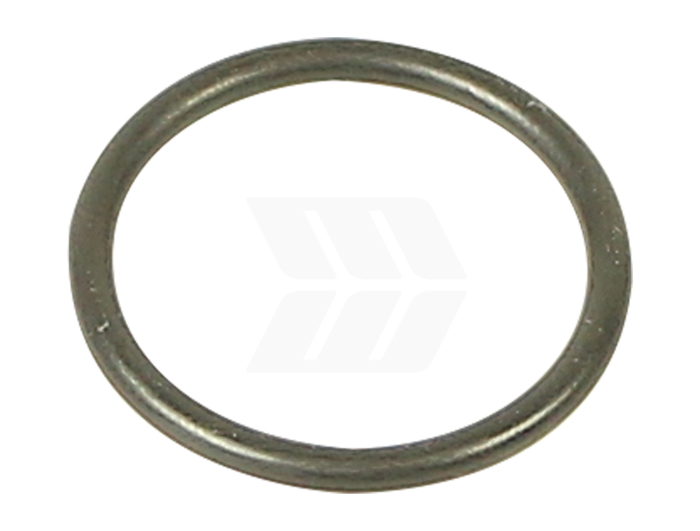 Case IH O-Ring - Detail 1