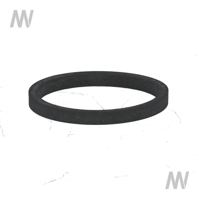 Dichtring f. Einspritzpumpe - Detail 1