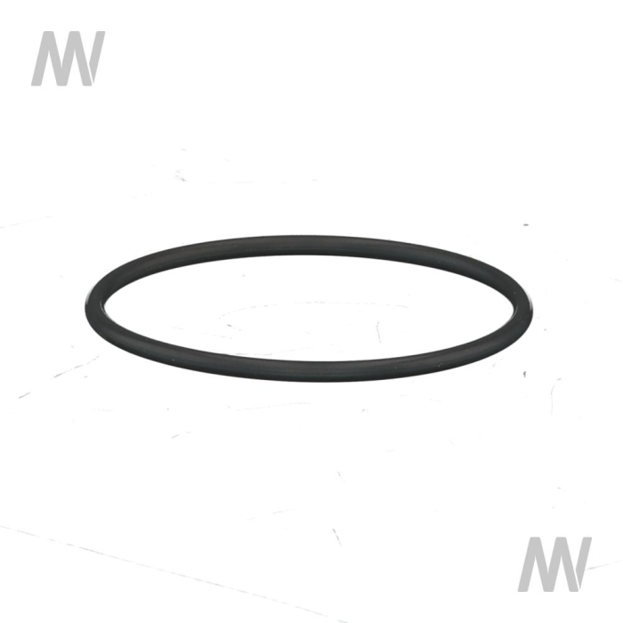 O-Ring - Detail 1