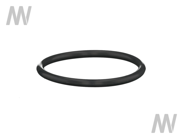 O-Ring f. Hubarmwelle - Detail 1