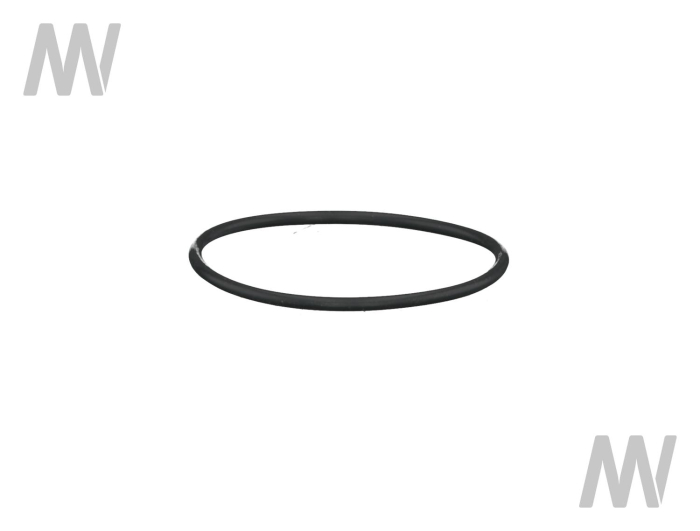 O-ring - Detail 1
