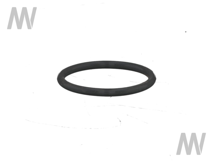 O-ring - Detail 1