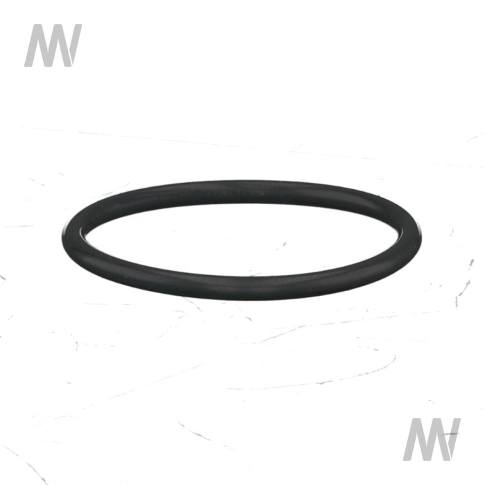 O-ring - Detail 1