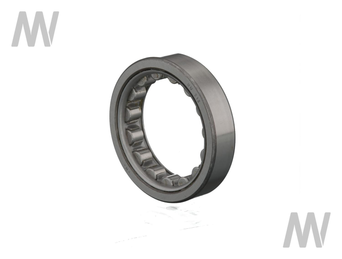 Rollenlager - Detail 1