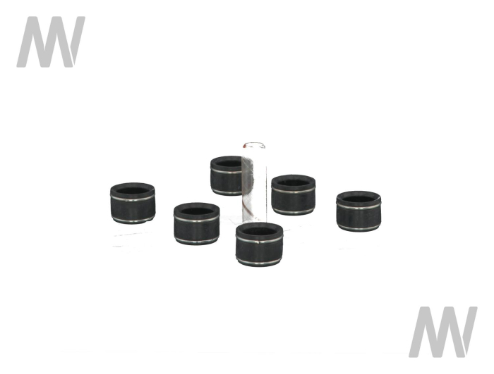 Ventilschaftabdichtungssatz 3-Zyl - Detail 1