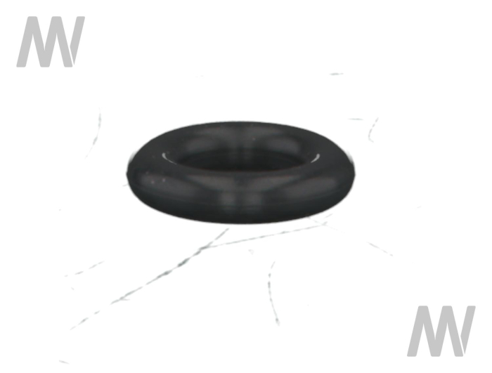 O-ring - Detail 1
