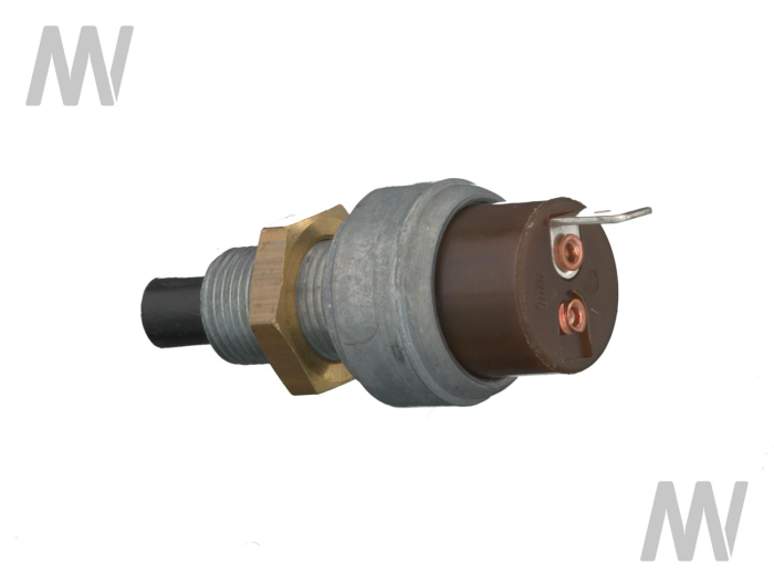 Bremslicht- u.  Startsicherheitsschalter - Detail 1